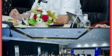 PLN, Kementerian ESDM, dan Pemerintah Daerah Sinkronkan Program Lisdes, Pemerataan Kelistrikan di Sumatera Selatan