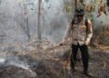 Karhutla Jadi Ancaman Keamanan dan Geopolitik ASEAN, Tony Saputra Dorong Strategi Kolaboratif 