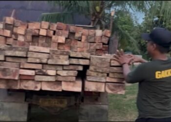 Barang Bukti Yang Diamankan Kabarnya Kembali Hutan, Ada Apa Sama Tim Gabungan?