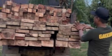 Barang Bukti Yang Diamankan Kabarnya Kembali Hutan, Ada Apa Sama Tim Gabungan?