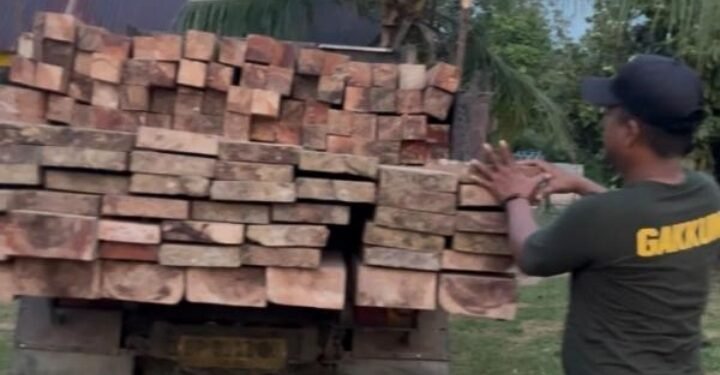 Barang Bukti Yang Diamankan Kabarnya Kembali Hutan, Ada Apa Sama Tim Gabungan?
