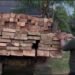 Barang Bukti Yang Diamankan Kabarnya Kembali Hutan, Ada Apa Sama Tim Gabungan?