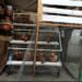Dari Kandang Ayam, Amat Menumbuhkan Harapan Ekonomi Keluarga
