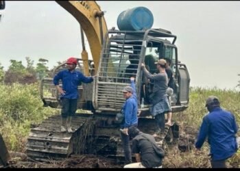 Buka Kawasan Hutan Ilegal Pakai Excavator, Dua Orang Diamankan