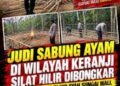 Judi Sabung Ayam di Keranji Silat Hilir Dibongkar, Jangan Hanya Pencitraan “Warga Soroti Rencana Aktivitas di Sungai Mali”