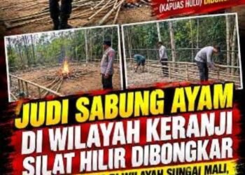 Judi Sabung Ayam di Keranji Silat Hilir Dibongkar, Jangan Hanya Pencitraan “Warga Soroti Rencana Aktivitas di Sungai Mali”