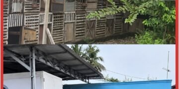 Kandang Ayam Berdempetan, Dapur Dinilai Kecil Untuk Ribuan Porsi MBG: SPPG Klambir Lima Disorot!