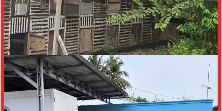 Kandang Ayam Berdempetan, Dapur Dinilai Kecil Untuk Ribuan Porsi MBG: SPPG Klambir Lima Disorot!