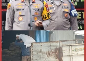 Kapolres Binjai Perkuat Ketahanan Pangan, Total Serapan Jagung Capai 329,2 Ton