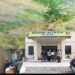 Sapi Rusak Kebun, Konflik Warga Rantau Dodor Memanas: Kades Disorot, Ancaman ‘Mati Kau!’ Masuk Laporan Polisi