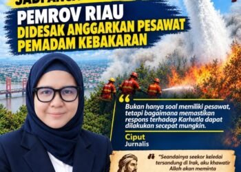 Karhutla Jadi Ancaman Tahunan, Pemprov Riau dan Pemerintah Pusat Didesak Anggarkan Pesawat Pemadam Water Bombing