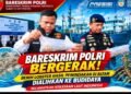 Dorong Budidaya Legal, Dittipidter Bareskrim Polri dan KKP Selamatkan Benih Lobster